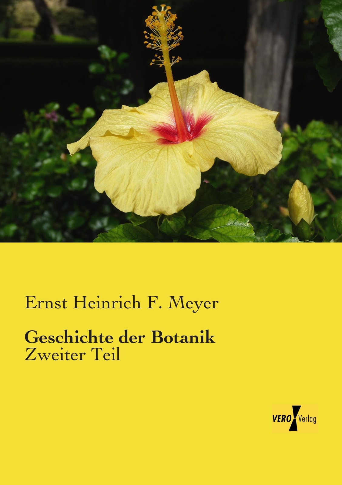 Ernst Heinrich F. Meyer | Geschichte Der Botanik | Taschenbuch |