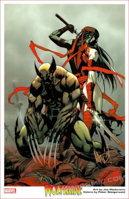 Savage Wolverine 1-23 コンプリートセット アメコミリーフ Savage Wolverine #1 Clayton Crain Variant - Dad's Comic Vault