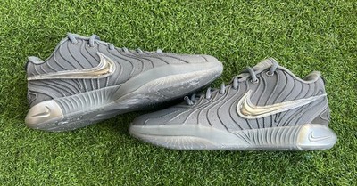 Size 11 - Nike LeBron 21 Resilience Cool Gray