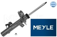 Meyle 7266230014 StoßDäMpfer StossdäMpfer Vorderachse Vorne FüR Ford