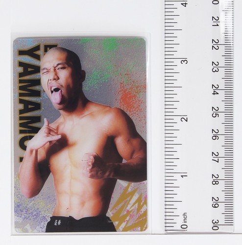 Erson Yamamoto - 2023 RIZIN FIGHTING FEDERATION WAFERS Trading Card - Picture 2 of 3
