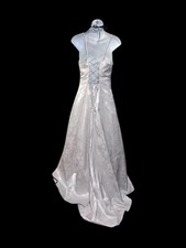 Princess Gown For Adult Pre-owned Size M With Accessories Halloween Cosplay