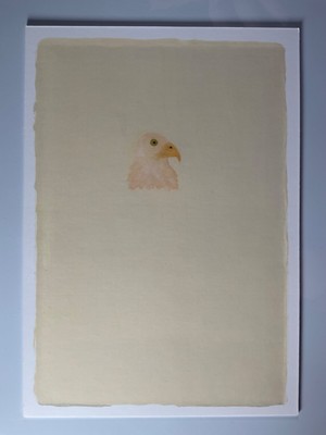 Sultan Eagle, Eagle Head 3, Limited Print of 100pcs, 21x15cm, 1.5mm 