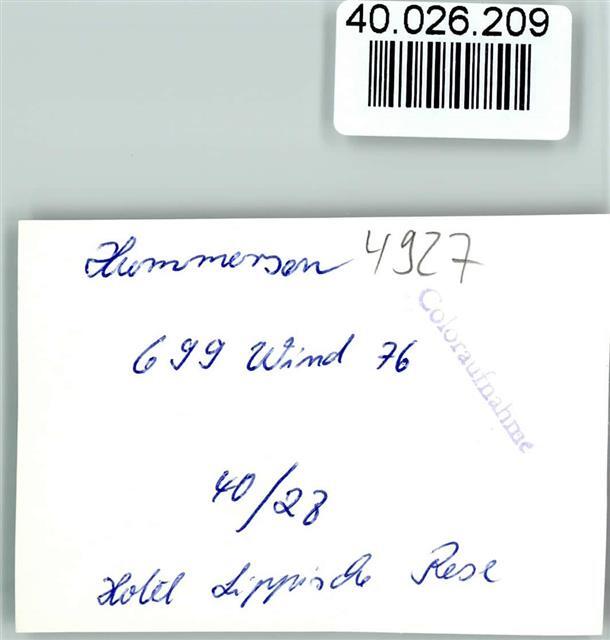 Imagen 2 de 2