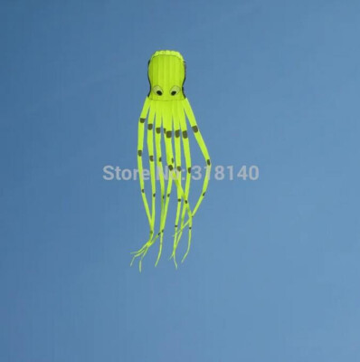new 3D kite / large software kite / 8 m octopus kite / high quality / BY55