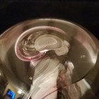 Caithness Art Glass Swirl Paperweight Clear White Purple Black Engraved — photo 8