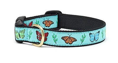 Up Country Butterfly Effect Dog Collar   Large 15-21'' Length, 1'' Wide