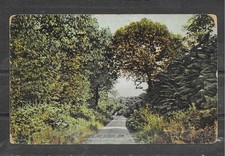 Antique 1916 Divided Back Postcard of LOVER S LANE, GUILFORD, CONNECTICUT