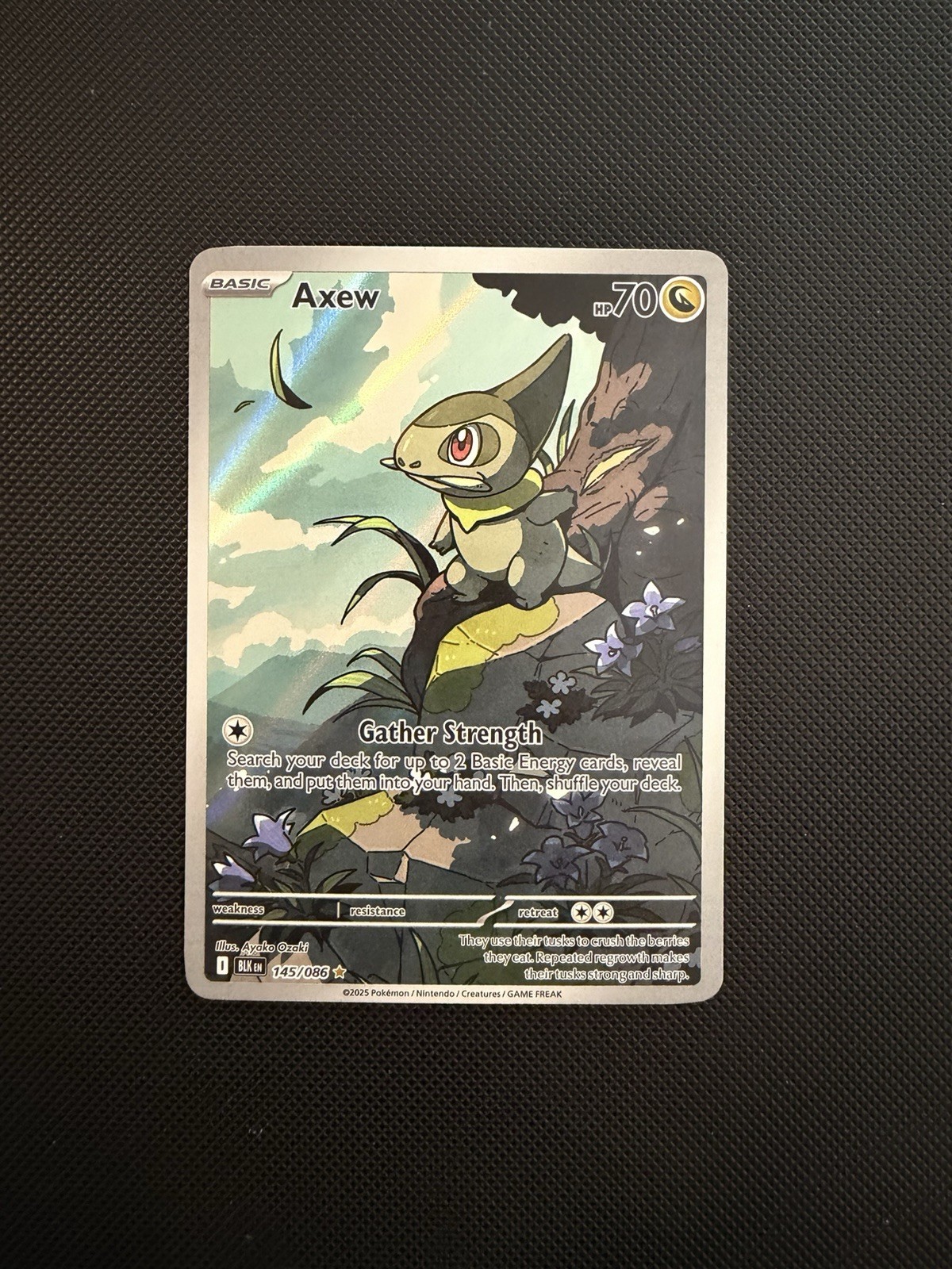 Axew 145/086 Holo Illustration Rare Black Bolt Pokemon Near Mint