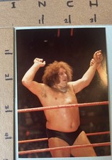 ANDRE THE GIANT Original Photograph Snapshot  1980s. Type 1   k4