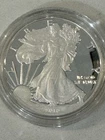 2010 W Beautiful  Mirror American Silver Eagle Proof Bullion $1 Coin OGP COA