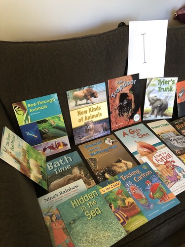 First Grade Reading Books -- HOME SCHOOL -- Grade 1 Like New 20 Different $25 - Foto 4 di 14