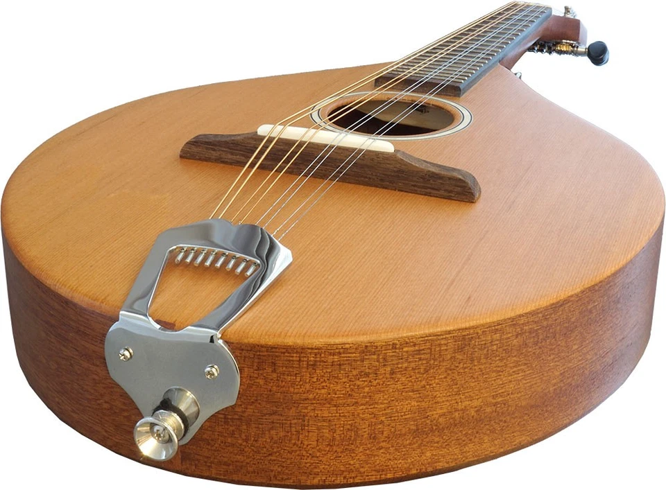 Mandolina Ashbury AM-140, tapa de cedro macizo, cuerpo sólido. De Hobgoblin Music Foto 4 de 4