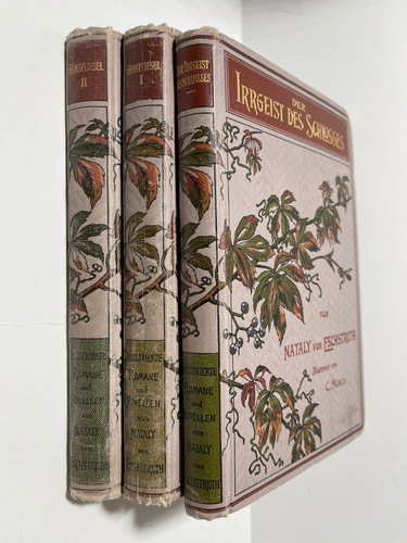 Nataly von Eschstruth 3 Bd. Set Erster Weltkrieg Novelle deutsche Sprache illustriert HC #b22 - Bild 3 von 8