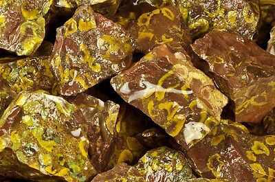 1 Pound of Leopard Jasper Rough Reiki Cabbing "AA" Grade Tumble Rocks 1 Pound of Leopard Jasper Rough Reiki Cabbing "AA" Grade Tumble Rocks
