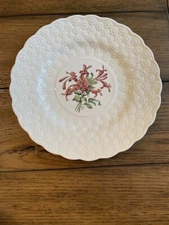 Copeland BERMUDA FLOWERS Spode England "Bignonia" Luncheon Plate 9 1/4 inches