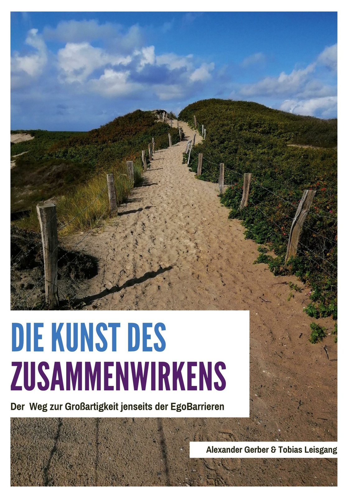 Thumbnail - Die Kunst Des Zusammenwirkens | Buch | 9783749498598