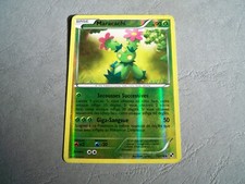 Carte Pokemon - Noir et Blanc 12/114 Maracachi PV90 REVERSE RARE - FR