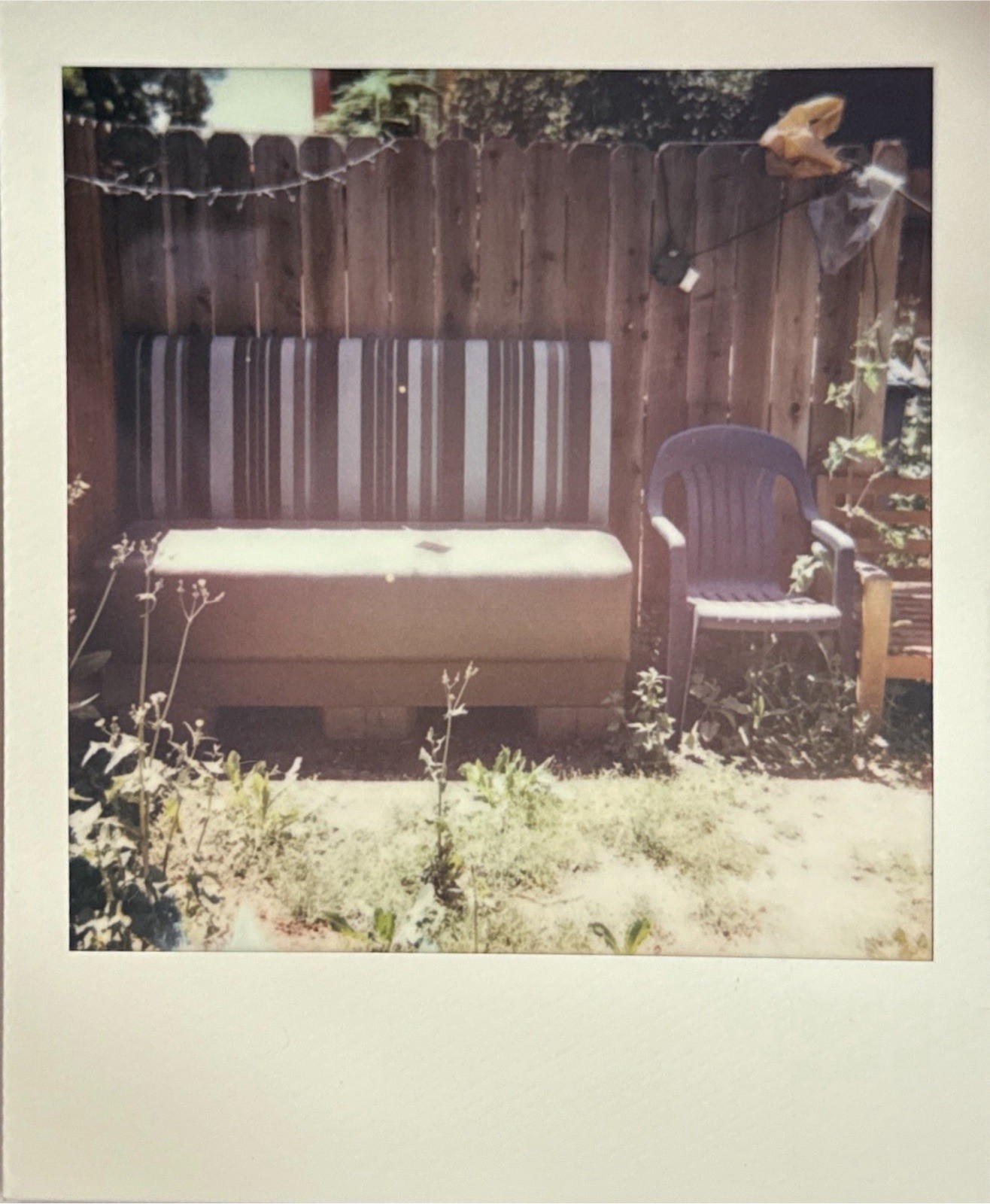Picture 10 of 12