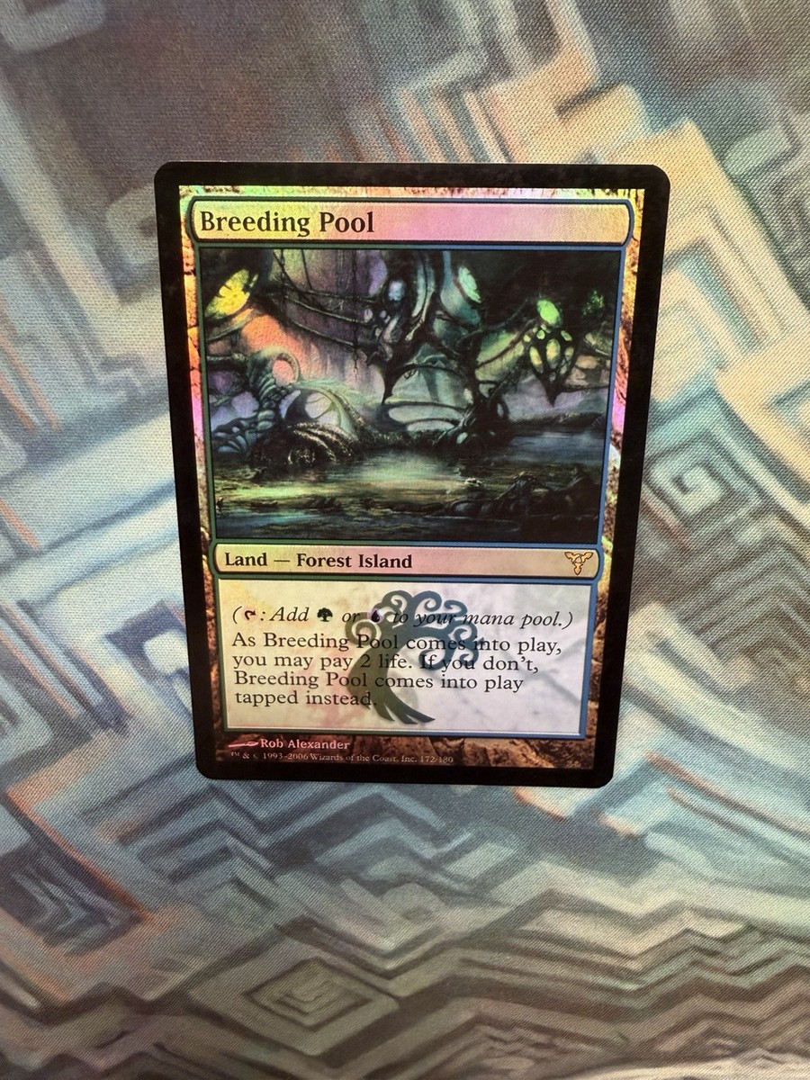 mtg 繁殖池 breeding pool foil 初版　dissension Breeding Pool Dissension Foil for sale online | eBay