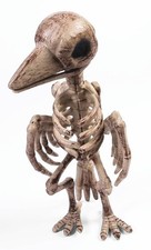 Skeleton Raven Halloween D cor