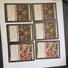 Magic: The Gathering Dark Favor & Infectious Horror 6x Black Cards English