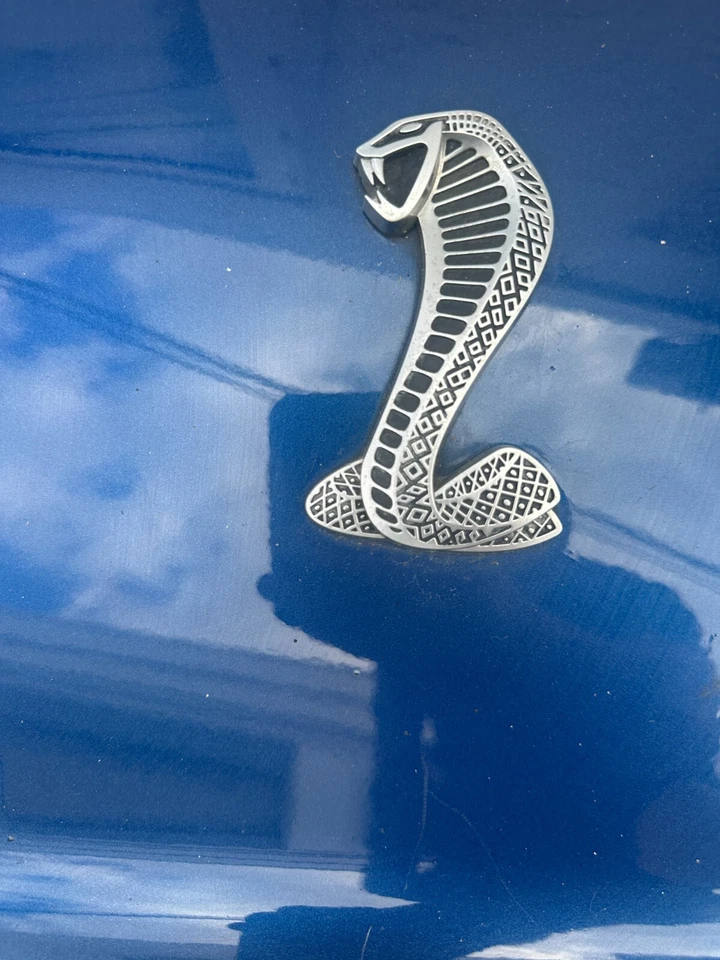 5050320 GENUINO FORD MUSTANG SHELBY COBRA GT350 LH 2009 guardabarros izquierdo azul Foto 3 de 4