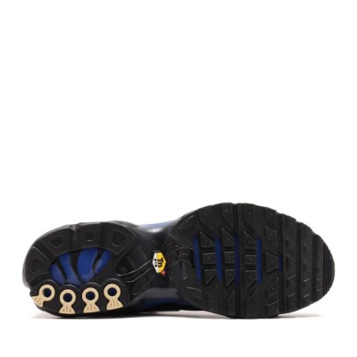 Nike Air Max Plus PRM Racer Blue FQ7331-001 oki | eBay