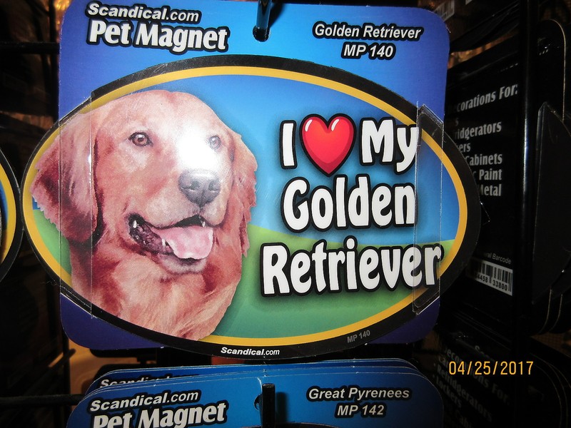 I Love My Golden Retriever 6 inch oval magnet for car or anything metal  New
