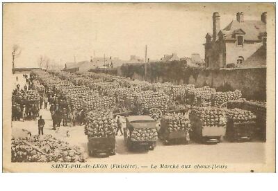 29.ST POL DE LEON Nr.15432 Le Marche Aux Choux Fleurs Postkarte Bretagne