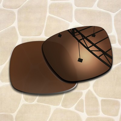 Nut Brown Polarized Replacement Lenses for Rudy Project Spinhawk 2.0 Sunglasses