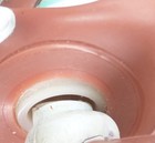 Bild 11 von 11