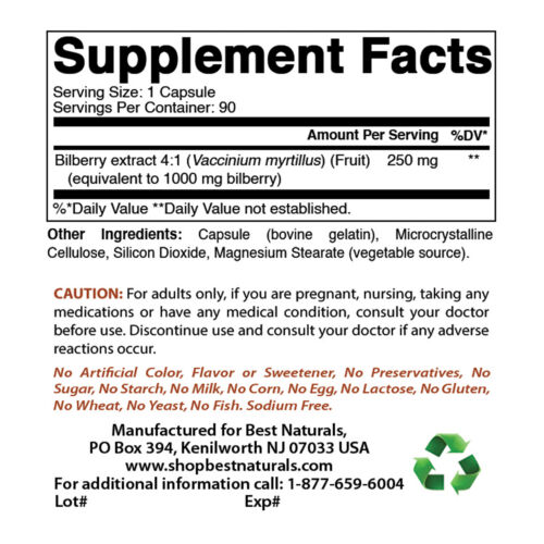 Best Naturals Bilberry Extract 1000 mg 90 Capsules - Picture 2 of 7