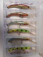 Reef Runner 800 Series Crankbait Lot