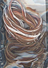 Fall - Seasonal Bitty Buttons #3 AccPack Victoria Sampler New