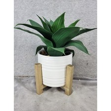 Artificial Snake Plant in White Ceramic Pot with Wood Stand Faux Green Leaves