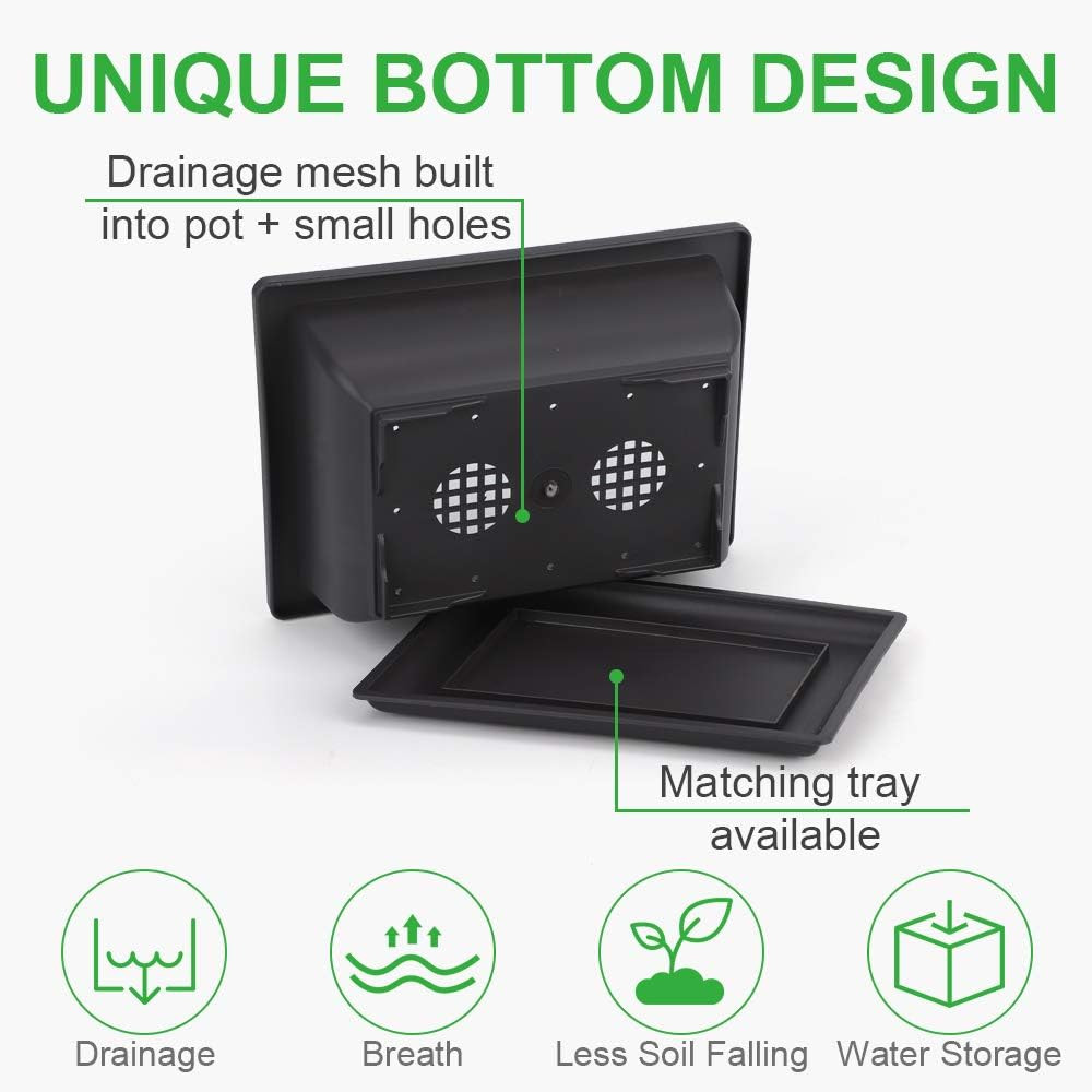 GROWNEER Bonsai Training Pots 3 Packs 9Inch with Drainage Humidity Trays, Bonsai