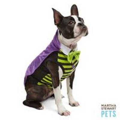 Martha Stewart Pets Vampire Dog Costume X-Small XS Halloween