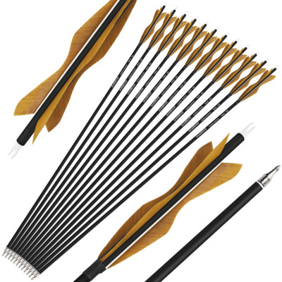 6/12pcs Carbonpfeile 28'' 30'' 31'' Jagdpfeile Naturfedern Bogenschießen Bogen Jagd
