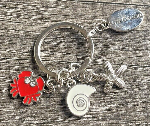 Crab Starfish Shell Metal Souvenir Key Chain From Los Cabo’s Mexico