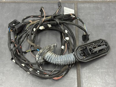 Türkabelbaum Hinten BMW 5er F10 F11 Kabelbaum Hintertür 9256017