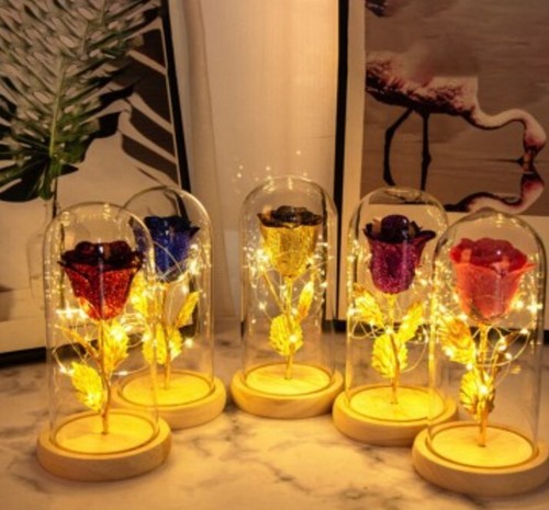 Valentines Day Gift For Girlfriend Eternal Rose Flowers LED Light In Glass - Picture 2 of 4
