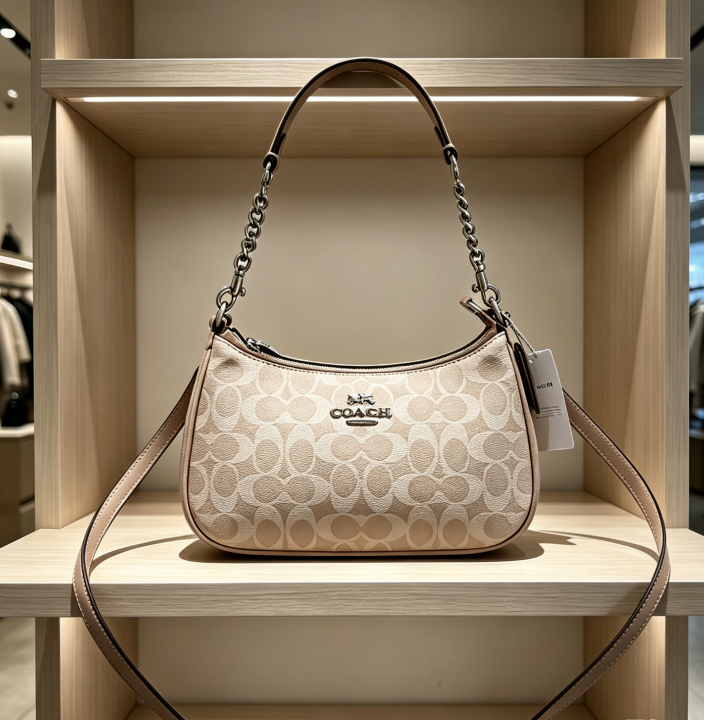Coach Teri Shoulder Bag In Signature Canvas Silver /Sand/Taupe CV933 NWT