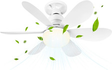 Ventilatore Da Soffitto Con Luce E Telecomando, 52CM Piccoli Lampadario Con Vent