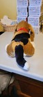 Bild 4 von 7