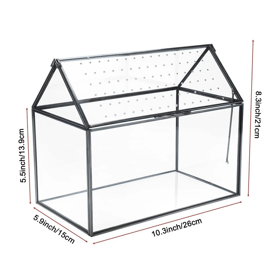 9.2" Large Terrarium Planter, Tabletop Miniature Flower Pot for Succulent Cacti - Image 2 of 4
