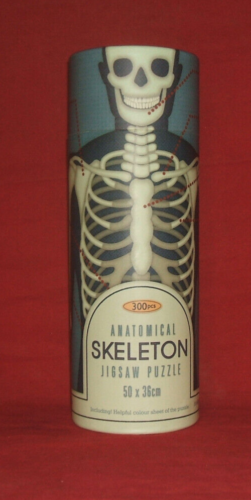 Skeleton 300 Piece Jigsaw Puzzle In a Tube Anatomy 50x36cm - Picture 1 of 3