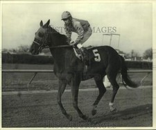 1970 Press Photo Racehorse Walking Stick with jockey Mike Venezia - nos25710
