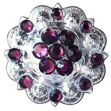 C-TY02 2 Hilason Western Berry Conchos Glass Rhinestones Bling 1.5" Tack cowgirl