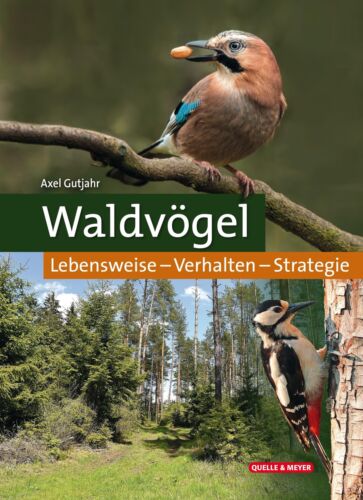Waldvögel | Axel Gutjahr | Lebensweise - Verhalten - Strategie | Buch | 160 S. - Bild 1 von 1